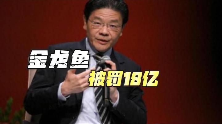 金龍魚上市后有哪些重大事件？，新加坡總理公開支持高市后金龍魚上市后有哪些重大事件