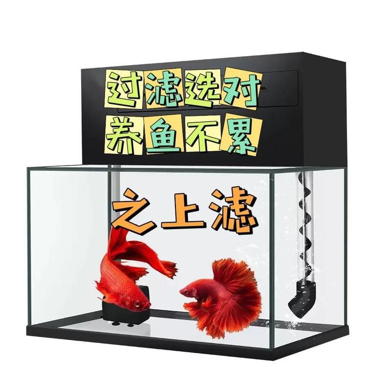 如何改善祥龍龍魚的水質環境？，如何改善祥龍龍魚水質環境？