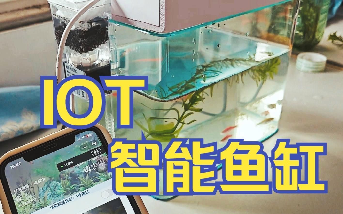 2025年魚缸市場趨勢，2025年全球魚缸市場趨勢