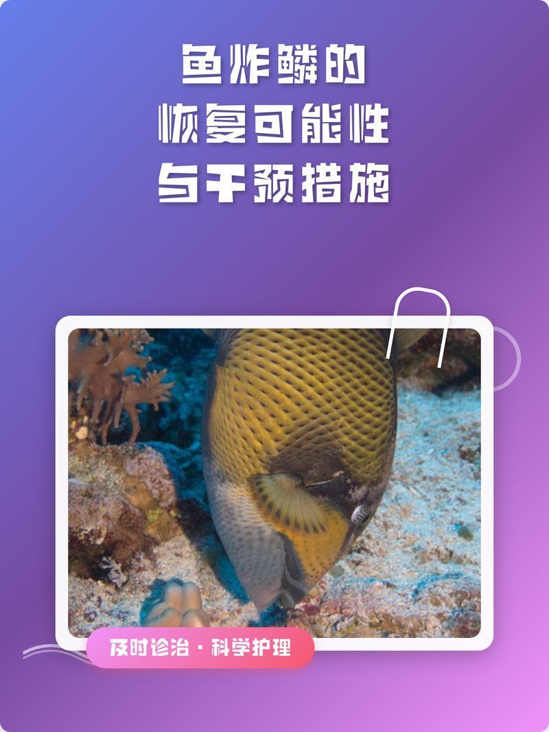 魚炸鱗自己會恢復嗎，——魚炸鱗早期癥狀