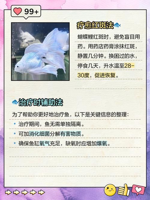 錦鯉紅斑病會自愈嗎，錦鯉紅斑病會自愈嗎（如指環蟲用戶思考完成,絕對不可等待自愈）