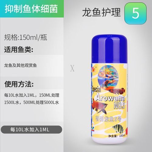 龍魚0號哪個品牌最好,龍魚0號哪個品牌最好龍魚0號哪個品牌口碑最好