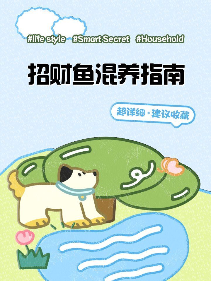 招財魚和龍魚混養需要多大的魚缸？，招財魚和龍魚混養有哪些成功案例招財魚和龍魚混養指南