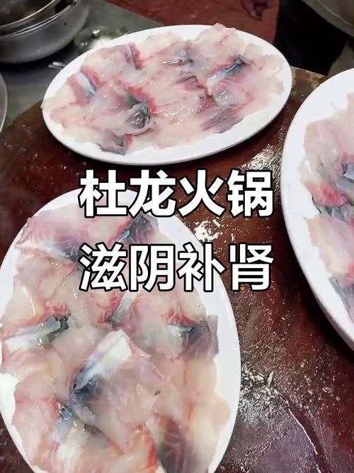 推薦幾家杜龍魚火鍋店，汕頭杜龍魚火鍋店