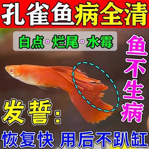 魚缸消炎藥多久見效，關于魚缸消炎藥的一些問題
