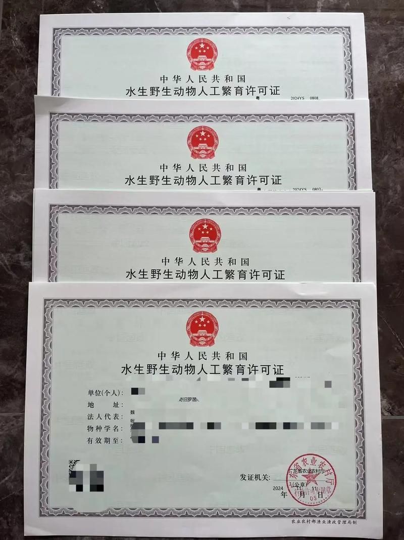 如何合法獲取六角龍魚的飼養許可?,六角龍魚飼養許可獲取六角龍魚(墨西哥鈍口螈)