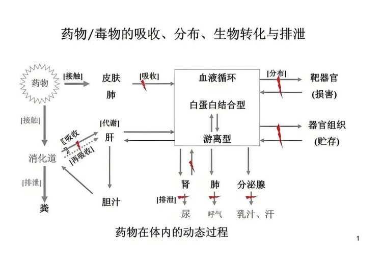 亞甲基藍和黃粉的副作用有哪些，亞甲基藍與黃粉的副作用