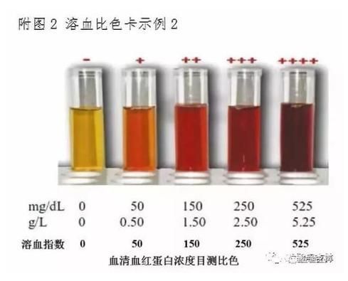 亞甲基藍和黃粉的副作用有哪些，亞甲基藍與黃粉的副作用