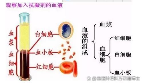 亞甲基藍和黃粉的副作用有哪些，亞甲基藍與黃粉的副作用