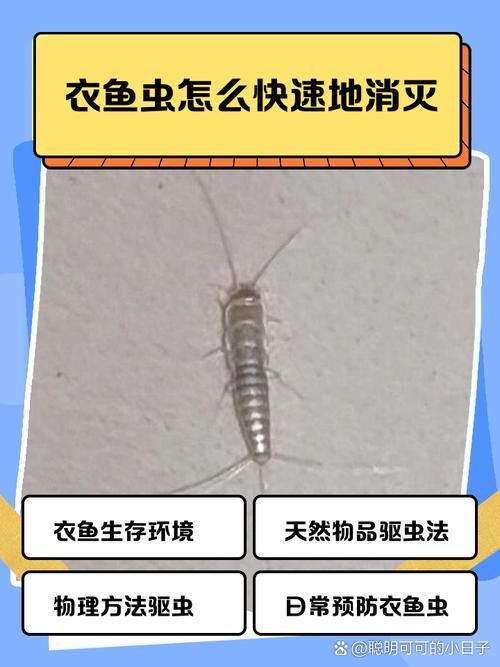 如何預防魚虱對人體危害，如何預防魚虱