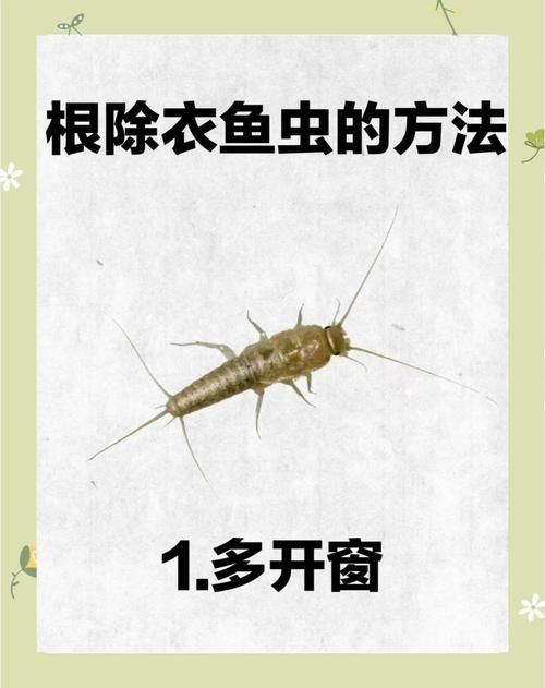 如何預防魚虱對人體危害，如何預防魚虱