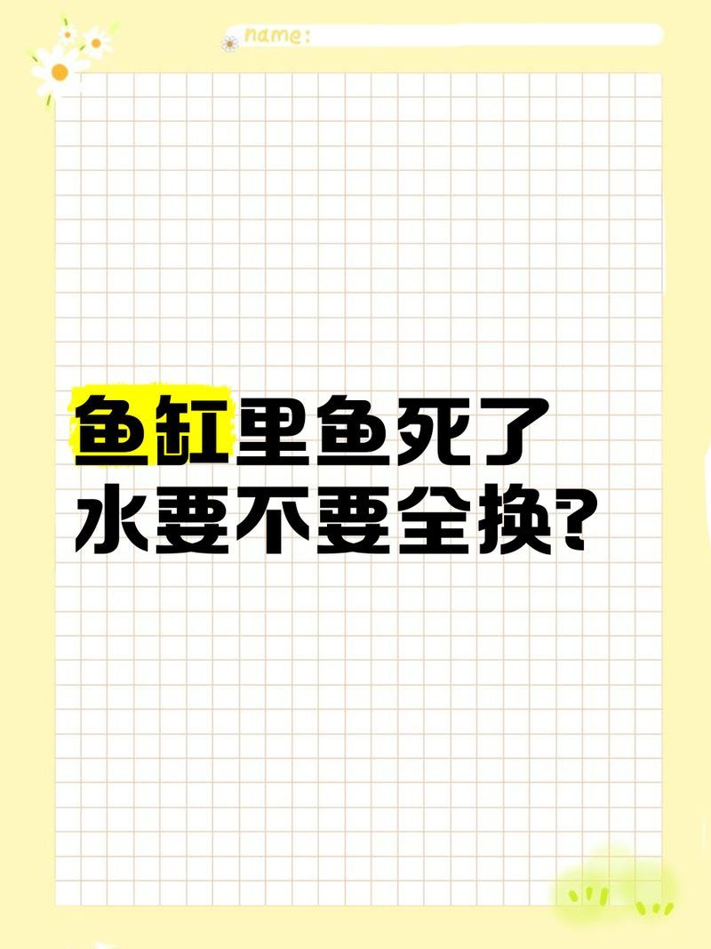 魚死了需要換水嗎，魚死了需要換水嗎，魚死了之后如何清理魚缸？
