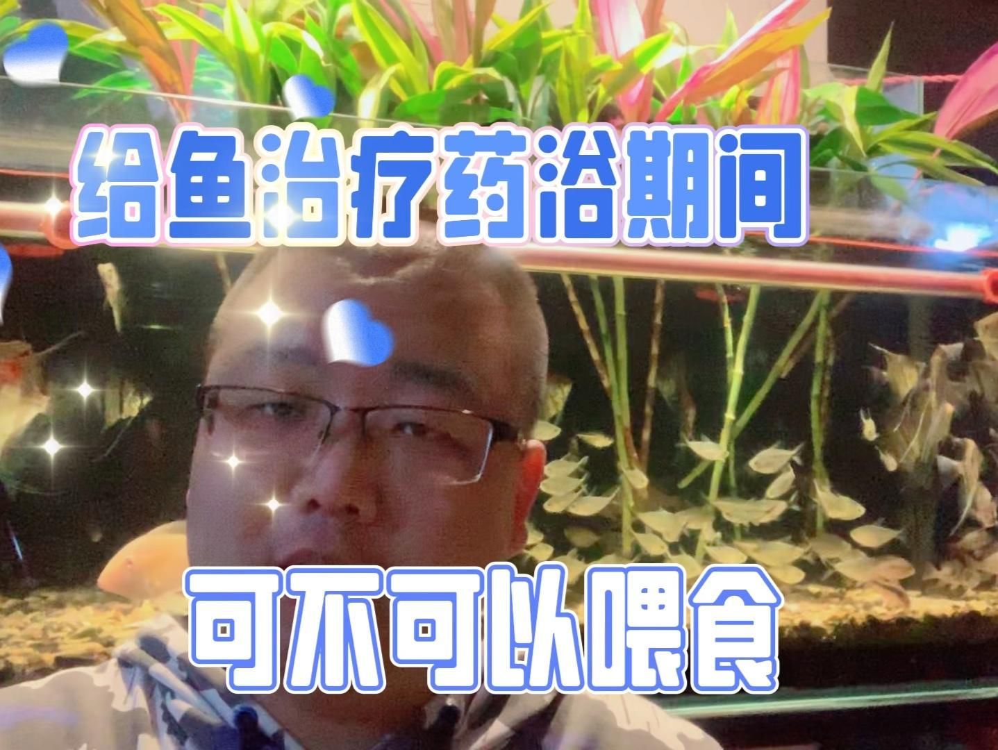 魚病治療期間需要喂食嗎，魚病治療期間需要喂食嗎，