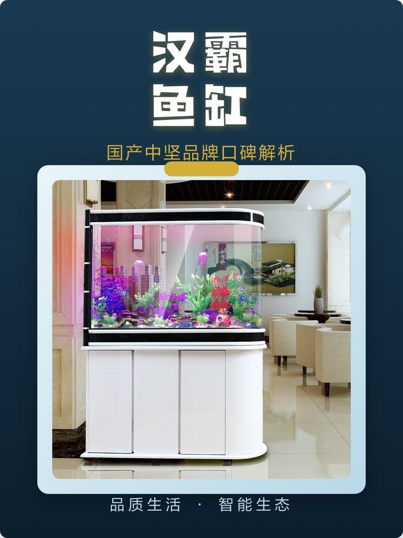 森森和漢霸哪個更值得購買？，森森和漢霸哪個好？