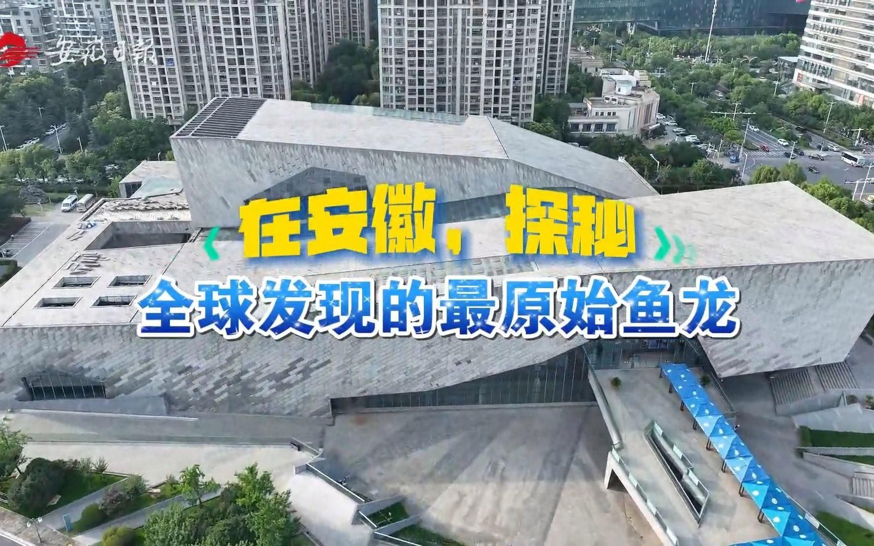 巢湖龍和居巢龍魚有什么區別？
