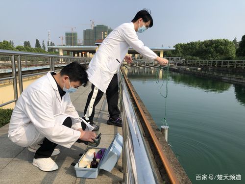 如何預防錦鯉爛身，如何預防錦鯉爛身思考完成