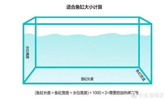 如何判斷魚缸尺寸是否合適，如何判斷魚缸尺寸