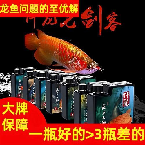 龍魚五號如何正確使用？，如何正確使用龍魚五號