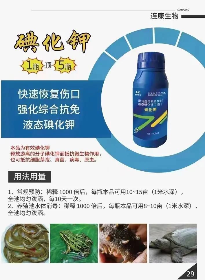 如何預防水霉病和細菌性爛鰓病