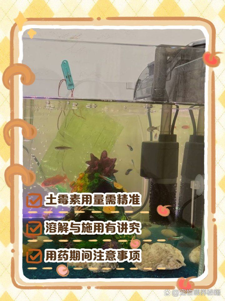 如何判斷龍魚是否需要使用土霉素，如何判斷龍魚是否需要使用土霉素并提供一些建議