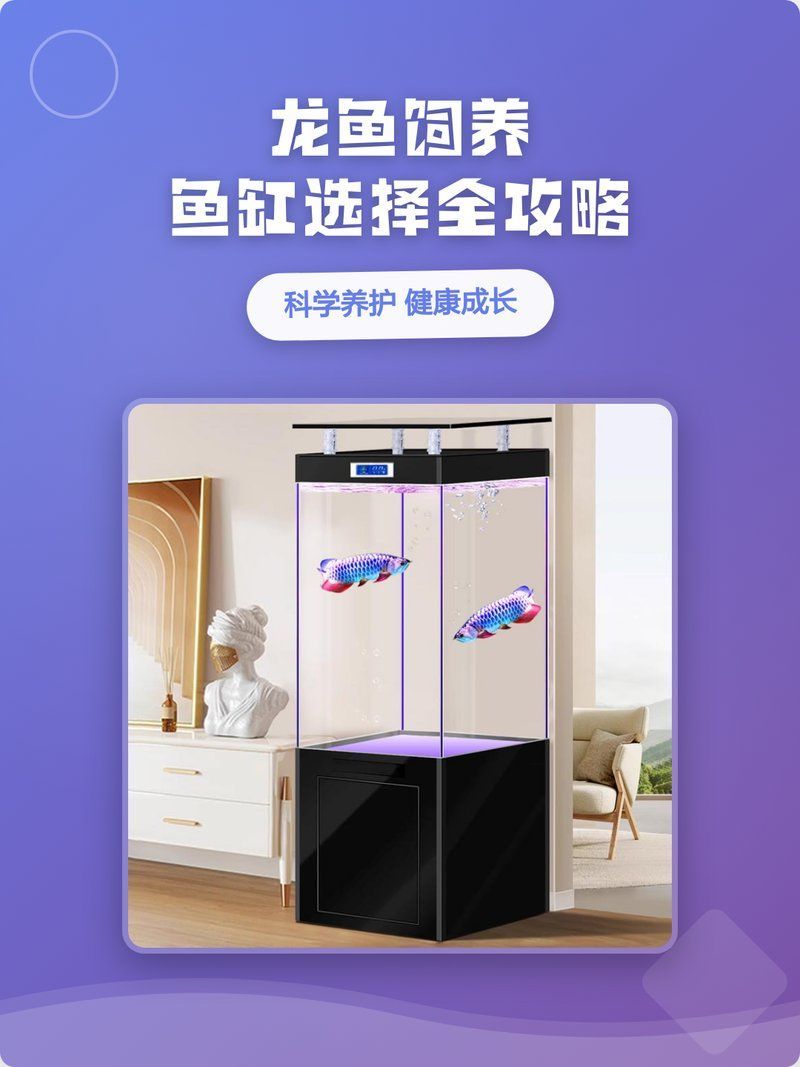 推薦一些適合龍魚的魚缸品牌，如何選擇適合的伊罕魚缸型號