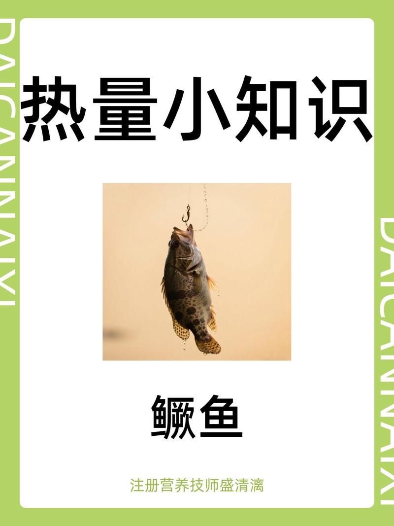 鱖魚的熱量是多少，營養(yǎng)師盛清漓鱖魚熱量區(qū)汝海醫(yī)生盛清漓紅龍魚壁紙推薦