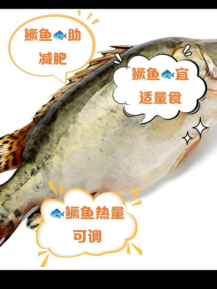 鱖魚的熱量是多少，營養(yǎng)師盛清漓鱖魚熱量區(qū)汝海醫(yī)生盛清漓紅龍魚壁紙推薦