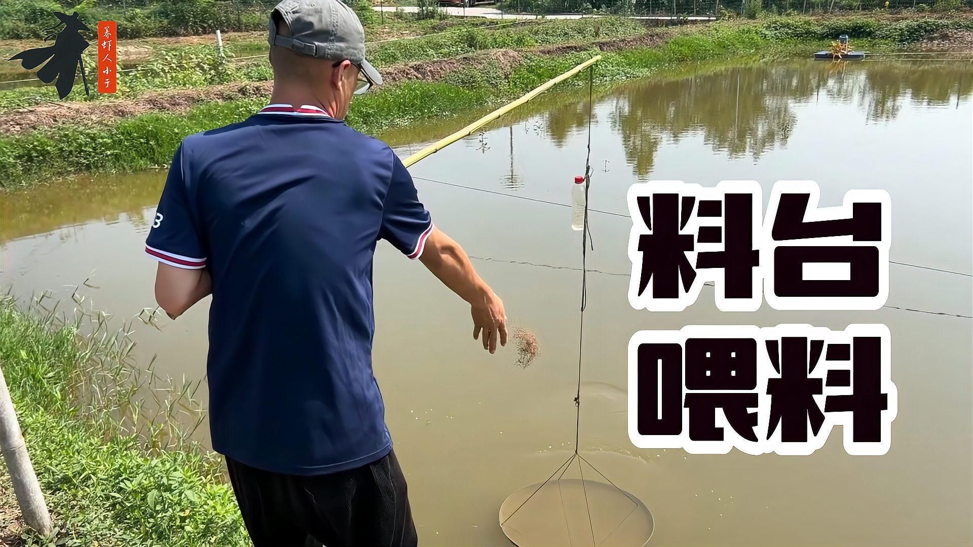 蝦類投喂時需要注意什么，蝦類投喂時需要注意什么？