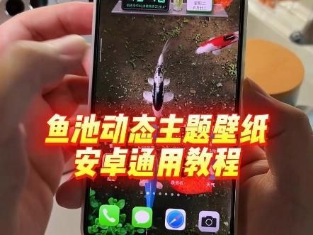 紅龍魚動(dòng)態(tài)壁紙?jiān)O(shè)置，紅龍魚動(dòng)態(tài)壁紙?jiān)趺丛O(shè)置
