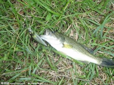 伊罕淘寶哪家正品(伊罕淘寶哪家正品店好)