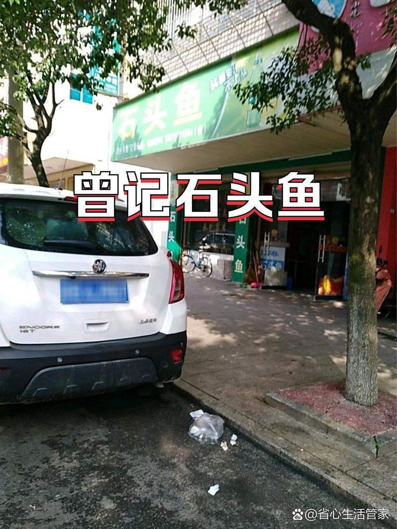 寧都龍魚店，寧都美食探秘:絕味蝦霸讓你辣得過癮