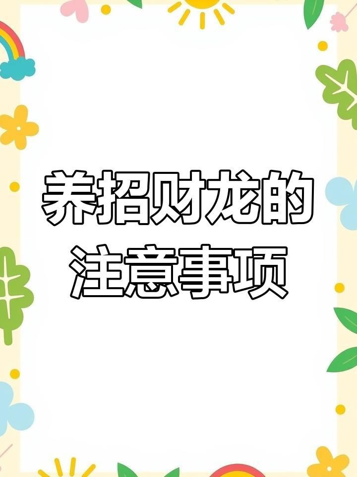 招財龍魚的市場價格是多少？，“財神爺”資深玩家揭秘五大陷阱養魚新手慎入