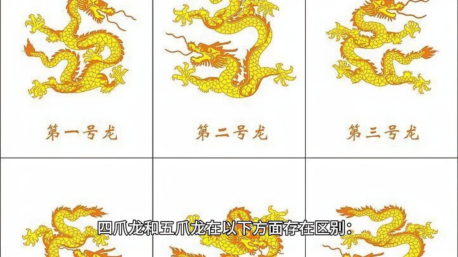 四角龍與五爪龍有何區別？，《四角龍與五爪龍有何區別》四角龍與五爪龍的區別
