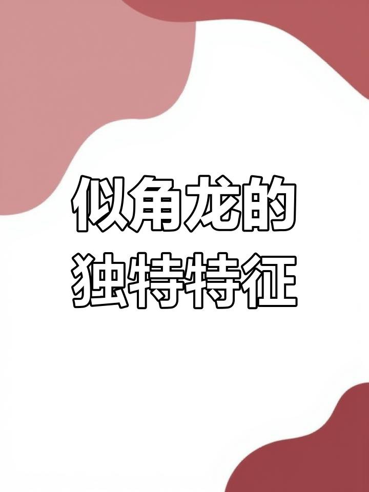 四角龍與五爪龍有何區別？，《四角龍與五爪龍有何區別》四角龍與五爪龍的區別