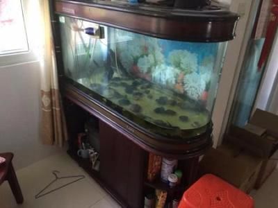 家庭魚池的設計效果圖大全：家庭魚池的設計效果圖大全圖片