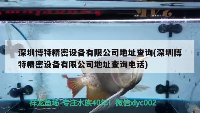 深圳博特精密設(shè)備有限公司地址查詢(深圳博特精密設(shè)備有限公司地址查詢電話)