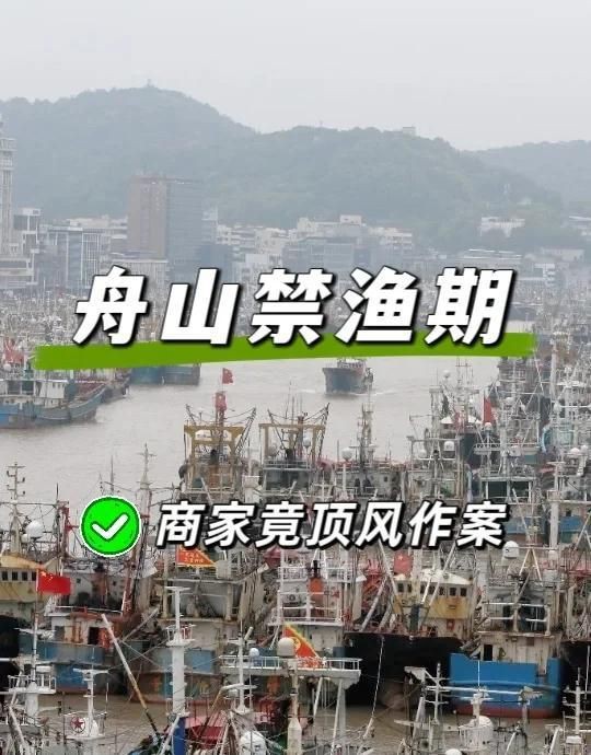 有哪些魚是禁止買賣的？，8種海鮮禁售寧波市海曙區人民政府禁售海鮮清單心有一片清荷