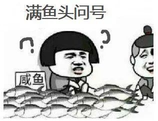 有哪些魚是禁止買賣的？，8種海鮮禁售寧波市海曙區人民政府禁售海鮮清單心有一片清荷