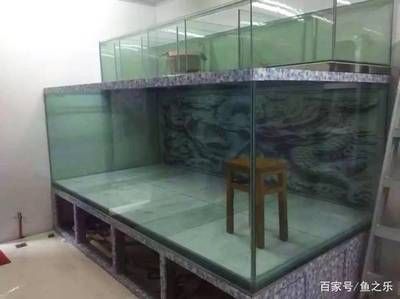 魟魚用多大的缸養合適：養魟魚用多大的缸養合適