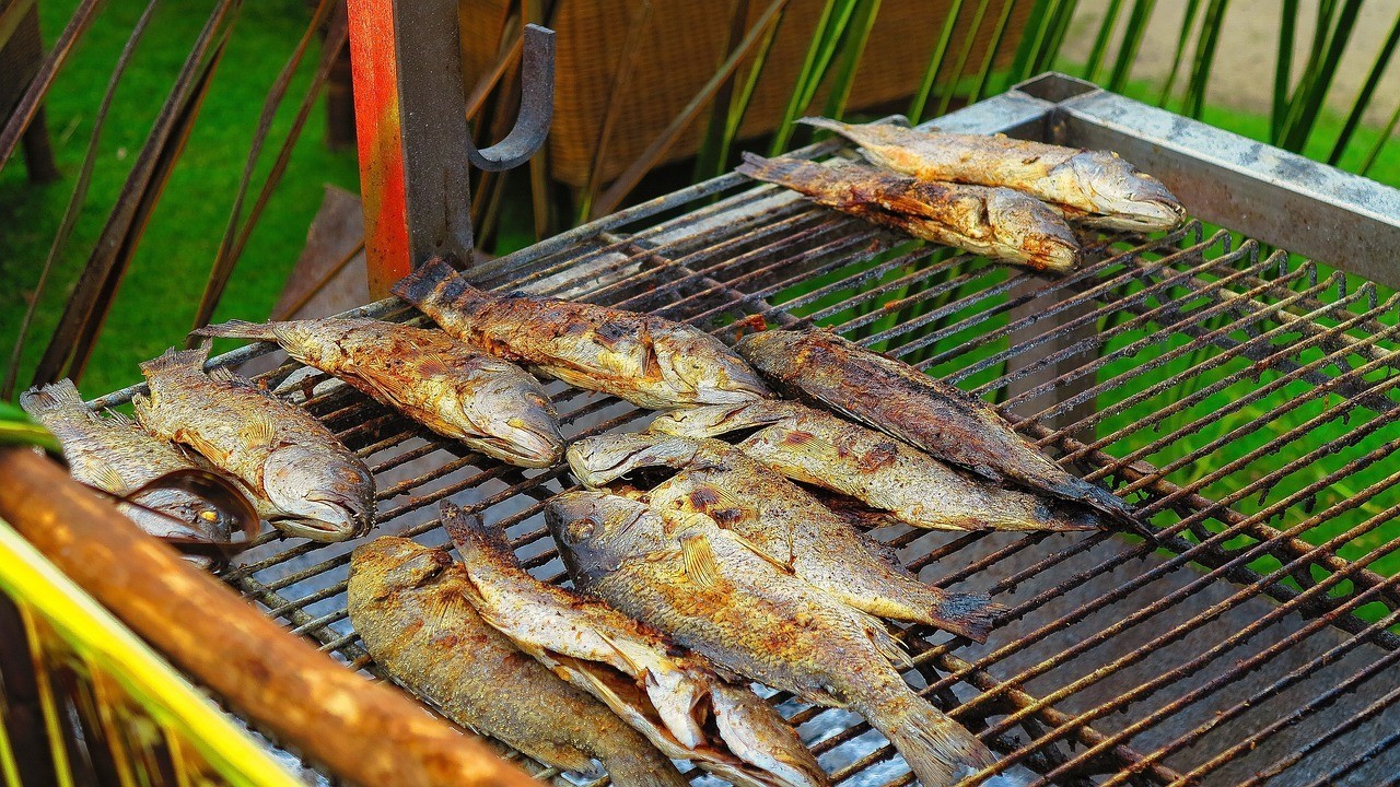 秦皇島紅福金龍魚直營店