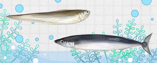 銀龍魚肚子一側鼓起來了(銀龍魚肚子一側鼓起來了怎么辦)