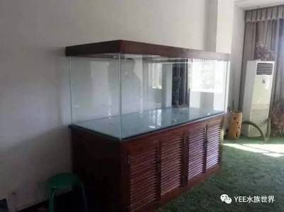 搬魚缸多少錢一個平方：搬魚缸的費用并非按照“一個平方”來計算，而是受到多種因素影響