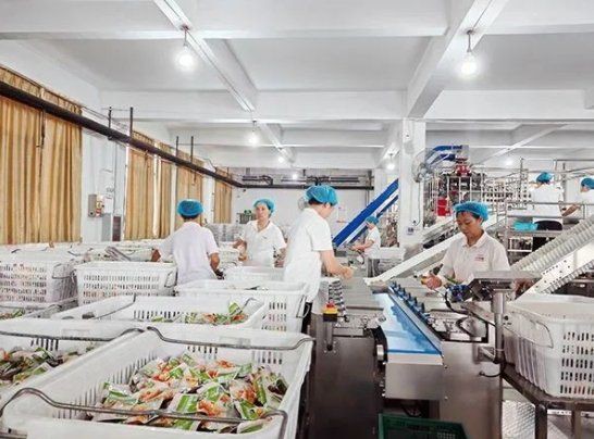 荊州魚缸批發市場，荊州魚缸批發市場分析綜合分析荊州魚缸批發市場現狀