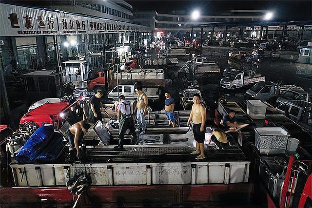 荊州魚缸批發市場，荊州魚缸批發市場分析綜合分析荊州魚缸批發市場現狀