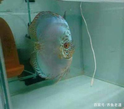 荊門(mén)新洋豐中磷肥業(yè)有限公司荊門(mén)新洋豐中磷肥業(yè)有限公司怎么樣