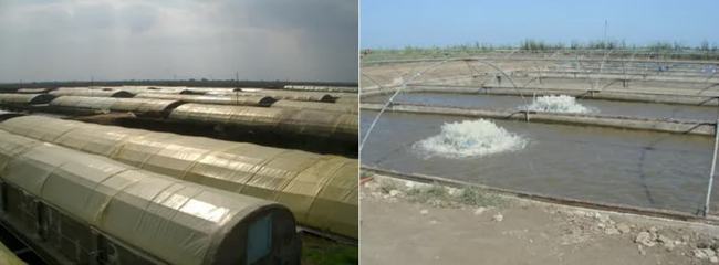 創寧加熱棒111和008有啥區別(創寧加熱棒型號)