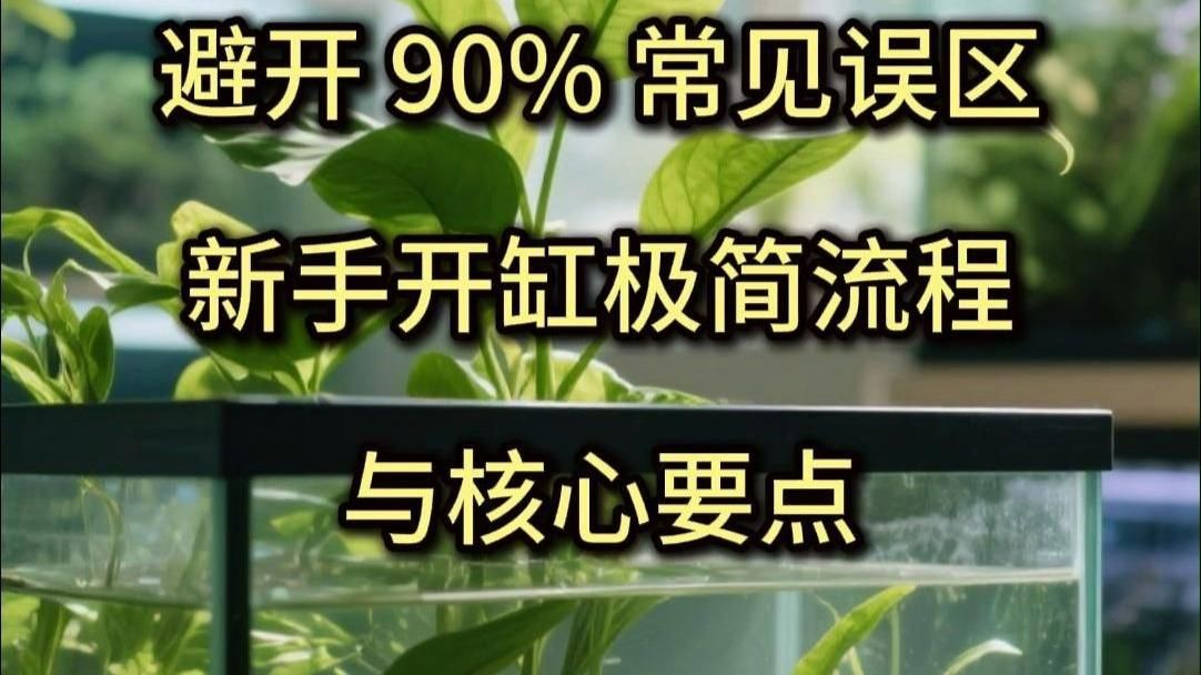 家用魚缸怎么選，《家用魚缸怎么挑選合適的家用魚缸需綜合多方面因素考量