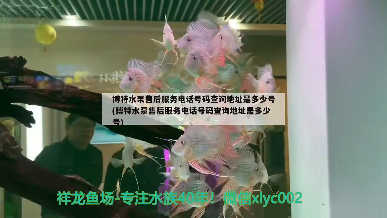 博特水泵售后服務電話號碼查詢地址是多少號(博特水泵售后服務電話號碼查詢地址是多少號)