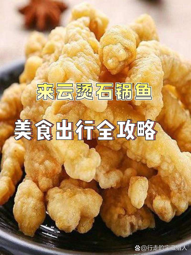 寶興龍魚店，寶興龍魚店“封神”之路nocel小明動(dòng)態(tài)探路nocel小明