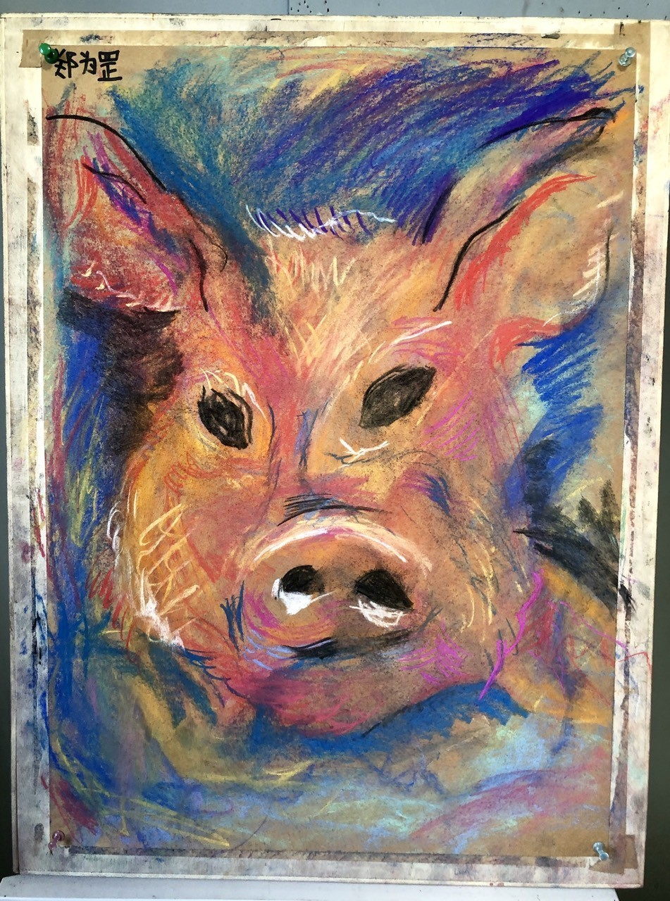 小豬請回家，只有6CM大。